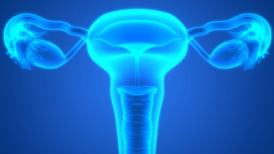 diagram of uterus, fallopian tubes and ovaries